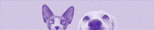 Chiens