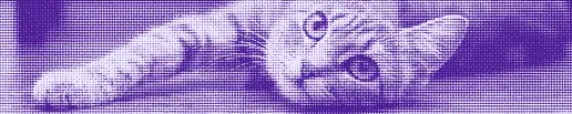 Chats