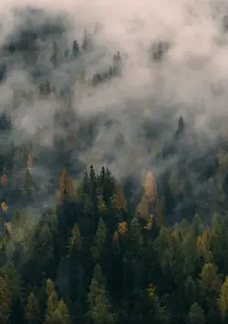 Image de offre 'Véhicule polyvalent — idéa'