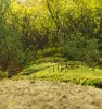 Miniatur-Bild 6 von Angebot 'Gartenwerkzeug-Set inkl....'
