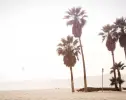 Immagine in miniatura 5 da offerta 'Climatizzazione e...'