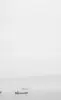 Image miniature 1 de offre 'Parure de lit 100% coton, 2...'
