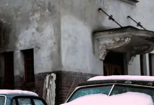Image 5 de offre 'Ensemble terrarium pour...'