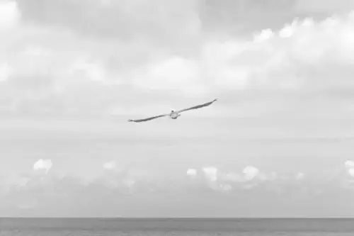 Image 1 de offre 'Planche SUP avec pagaie,...'