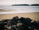 Immagine in miniatura 2 da offerta 'Trattamenti cosmetici viso e...'