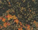 Immagine in miniatura 4 da offerta 'Trattamenti cosmetici viso e...'