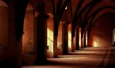 Immagine in miniatura 1 da offerta 'Aspirapolvere senza fili...'
