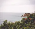 Immagine in miniatura 4 da offerta 'Aspirapolvere senza fili...'