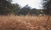 Immagine in miniatura 3 da offerta 'Casetta per bambole antica,...'