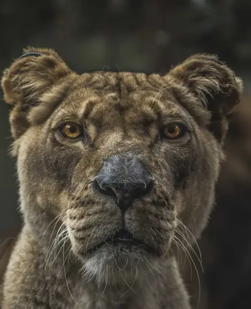 Image 2 de offre 'Tout pour Bébé et Enfants: J'