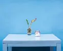 Miniatur-Bild 3 von Angebot 'Großes Bau- & Renovierungs-Se'