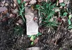 Miniatur-Bild 3 von Angebot 'Freundliches Tierchen sucht...'