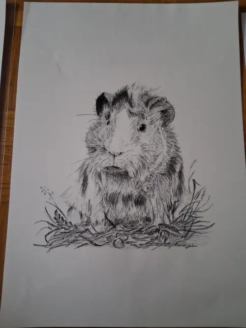 Bild 3 von Angebot 'Zu verkaufen'