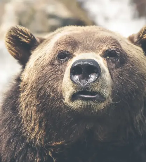Bild 1 von Angebot 'Individuelle Nachhilfe – Mat'