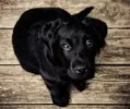Image miniature 3 de offre 'Coffret ménage: aspirateur, s'