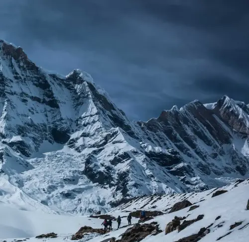Image 4 de offre 'Veste en cuir noir, taille M,...'