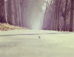 Image de offre 'Vélo de route à vendre – b'