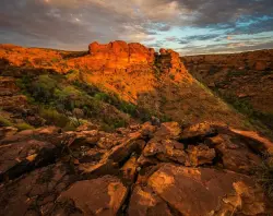 Bild von Angebot 'Vielfältige Fahrzeuge – Wei'