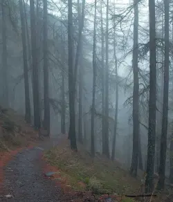 Immagine da offerta 'Set biancheria letto 4 pezzi...'