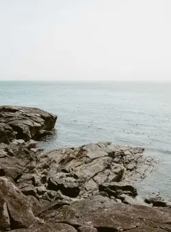 Image de offre 'Sweat à capuche bio gris, tai'