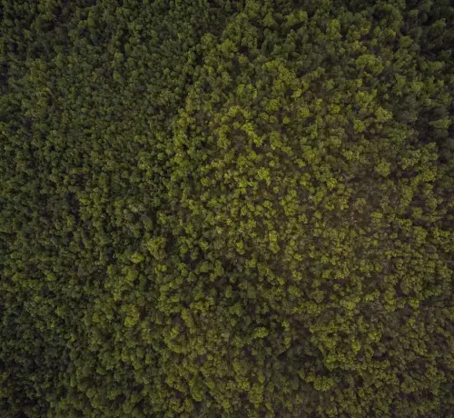 Image 1 de offre 'Pack Smart Home: centrale +...'