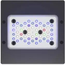 Bild von Angebot '2x Ecotech Radion XR 15 G6...'