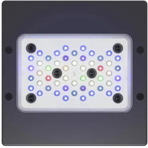 Image 1 de offre '2x Ecotech Radion XR 15 G6...'