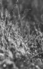 Image miniature 1 de offre 'Set linge de maison: lit et...'