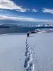 Miniatur-Bild 2 von Angebot 'Arktisches Winterabenteuer:...'
