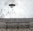 Immagine in miniatura 4 da offerta 'Cavallo da passeggio...'
