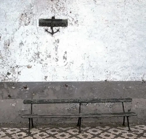 Immagine 4 da offerta 'Cavallo da passeggio...'