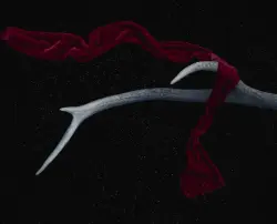 Image de offre 'Fête locale: musique live, th'