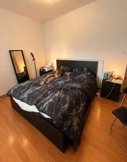 Immagine da offerta 'Letto MALM'