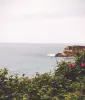 Immagine in miniatura 4 da offerta 'Strumenti a corde usati:...'