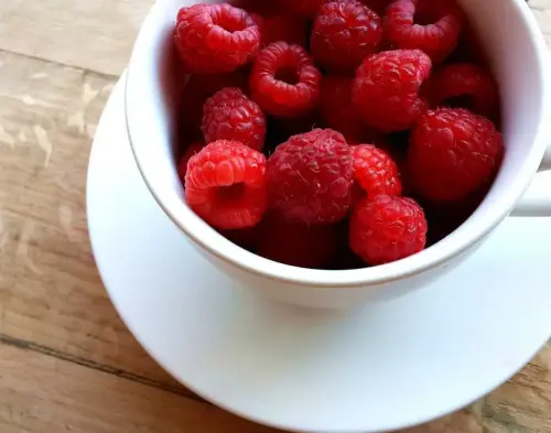 Image 3 de offre 'Grande collection musicale :...'