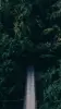 Image miniature 1 de offre 'Poney de loisir calme, bien...'