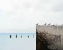 Immagine in miniatura 4 da offerta 'Esoterismo: Corso di...'