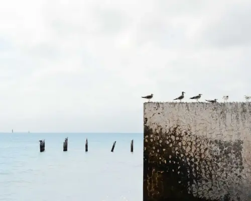 Immagine 4 da offerta 'Esoterismo: Corso di...'