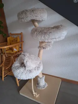 Bild von Angebot 'Katzenbaum'