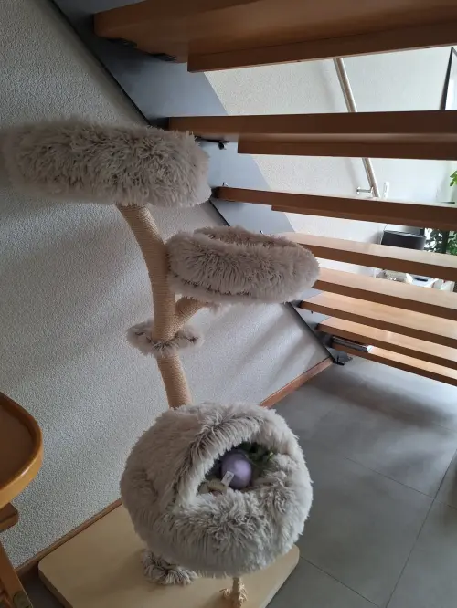 Bild 2 von Angebot 'Katzenbaum'