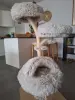 Miniatur-Bild 3 von Angebot 'Katzenbaum'