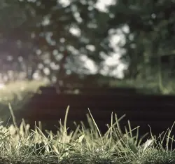 Image de offre 'Équipement complet pour group'