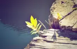 Immagine in miniatura 4 da offerta 'Attrezzatura completa per...'